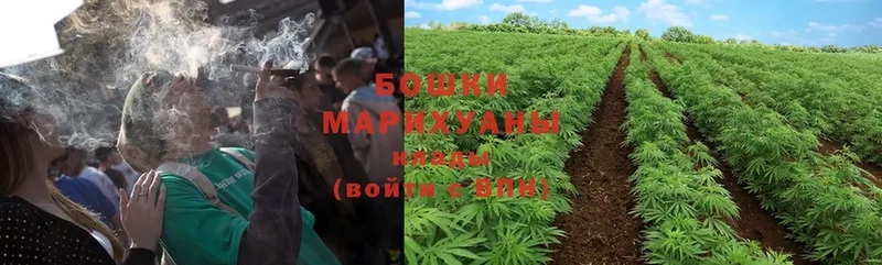 Бошки марихуана SATIVA & INDICA  Краснотурьинск 